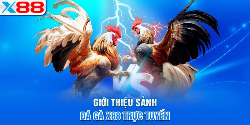 Khám phá sảnh đá gà trực tuyến X88